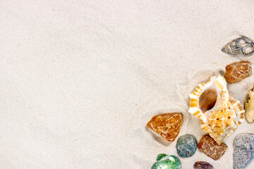 Fototapeta na wymiar Yellow sandy textured background with bright seashells and stones as a frame with copy space top view. Sea holiday tourism and tropical vacations concept.