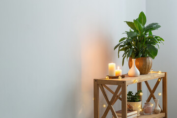 white home interior with houseplants on wooden shelf