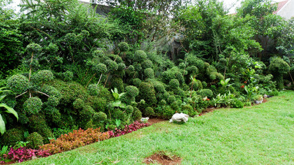 Obraz premium Beautiful and fresh garden behind the house