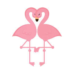 cute flamingos couple