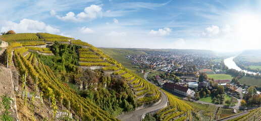 Weinberge im Herbst an einem Ort mit Fluss - Panorama von Mundelsheim am Neckar in...