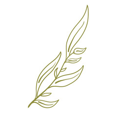 small tropical leaves