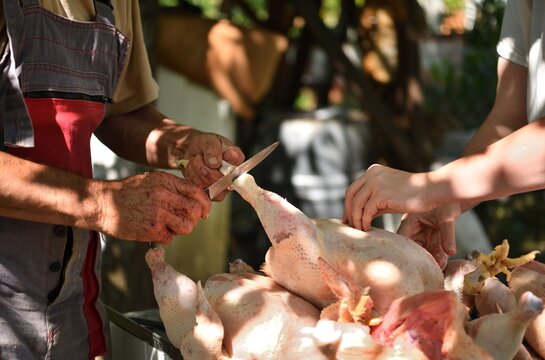Home slaughter for chickens raised for meat traditionally in the village