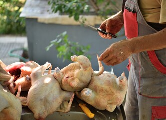The butcher dissects the chicken from the entrails with a knife