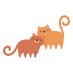 cute cats couples
