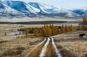 View of Altay mountains in the autumn