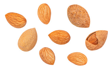 Almond raw piece Collection. Almonds isolated on white background. Set. Closeup.