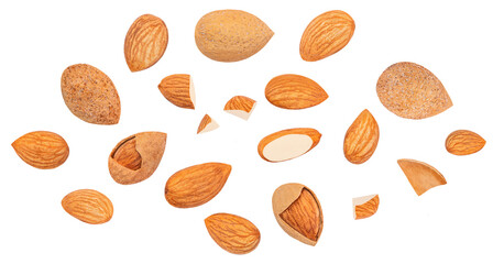 Almond isolated. Raw Almonds on white background. Almond set. Collection..