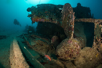 Underwater scenery off the Dutch Caribbean island of Sint Maarten