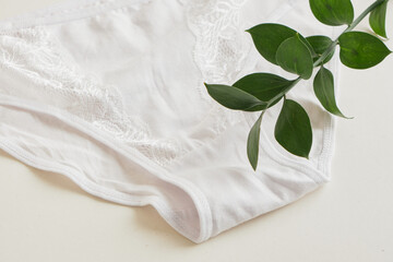 Comfortable and healthy clothes, white woman panties and plant, natural alternative materials for...