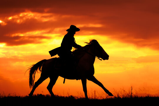close up cowboy silhouette on a horse during sunset in evening time. Cowboy rider silhouette in meadow field against orange sky.