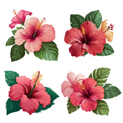 Vector tropical illustration. Pink hibiscus flower isolated - obrazy, fototapety, plakaty