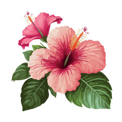 Watercolor vector tropical hibiscus flower isolated. Vector tropical illustration. Pink hibiscus flower isolated