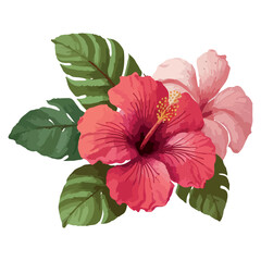 Watercolor vector tropical hibiscus flower isolated. Vector tropical illustration. Pink hibiscus flower isolated - obrazy, fototapety, plakaty