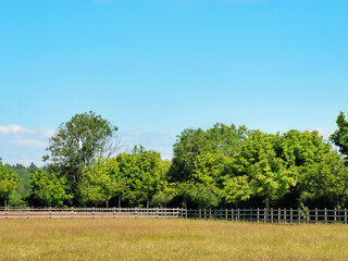 Fototapeta na wymiar Grassy Field in Summer with Trees and Fencing