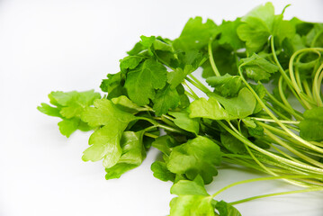 Green fresh salad on a white background. Fresh parsley salad close-up. Green lettuce leaves.