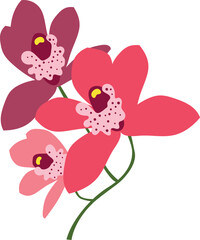 Exotic flower icon. Pink tropical natural blossom