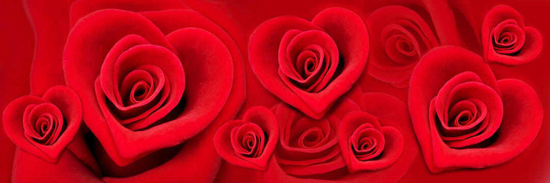 Red roses in the shape of a heart, panoramic Love and Valentine's day web banner