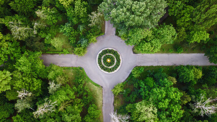 aerial view of green flower bed in the form of a maze. drone shot. natural summer spring background