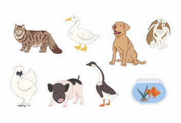 Pets vector in flat design