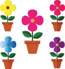flowers in pots, showing overlay