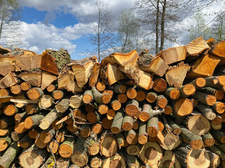 Firewood background. Wood wall in the village