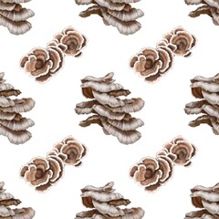 Seamless pattern. Watercolor realistic mushrooms. Mushrooms growing on trees. Pleurotus ostreatus, the oyster mushroom, oyster fungus, or hiratake,
