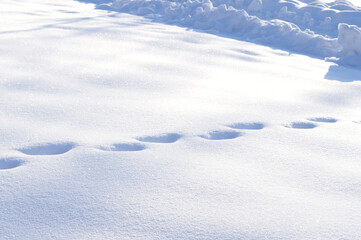 Natural background. Footprints in the snow on a bright frosty day
