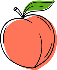 Illustration of a ripe peach in a contour style.