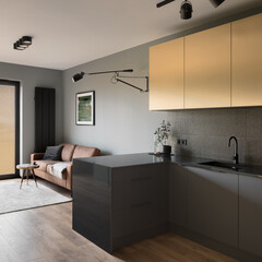 Contemporary kitchen open to drawing room