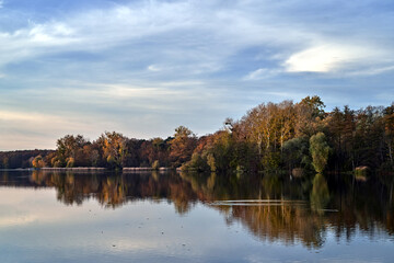 Fototapeta na wymiar Deciduous forest on the shore of a lake in the evening during autumn