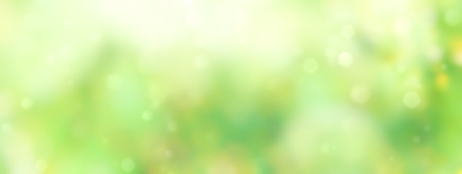 Spring background - abstract banner - green blurred bokeh lights -	panorama, header
