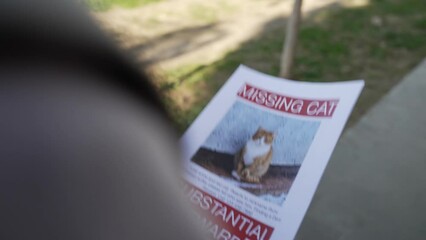 Schoolboy putting up missing pet banners.