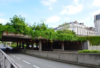 Ecology, greening cities: green bridge over roads.