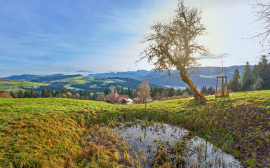 Fall landscape at sunrise in the Allgaeu mountains, near Oberstaufen, Bavaria, Germany