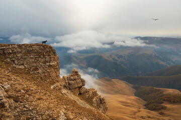 Bermamyt plateau. Foggy mountain view from cliff at very high altitude. Scenic alpine landscape with beautiful sharp rocks in sunrise. Beautiful scenery on abyss edge with sharp stones.
