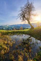 Fall landscape at sunrise in the Allgaeu mountains, near Oberstaufen, Bavaria, Germany