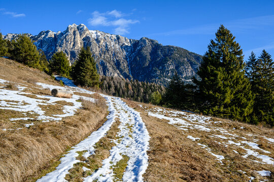 Monte Cornon, Tesero, Valle di Fiemme, Dolomiti, Trentino