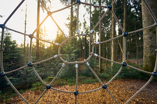 huge spider web in atumnal forest in Sulzberg, Vorarlberg, Austria