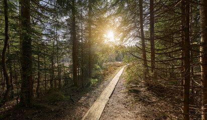 High moor landscape in the Allgaeu mountains, near Oberstaufen, Bavaria, Germany