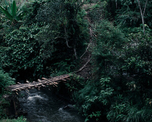 view of the river with the water flowing fast after the rain fell in the afternoon
