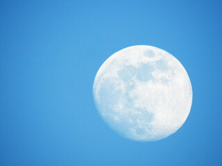 Moon in the blue sky of the day