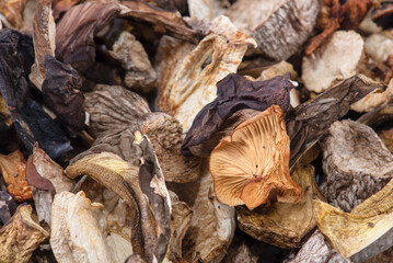 Mixed dried mushroom, close-up