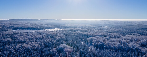 Panoramic aerial view of an large mixed boreal forest covered with light snow under a pale blue...