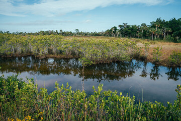 Scenery at the Merritt Island National Wildlife Refuge near Titusville, Florida