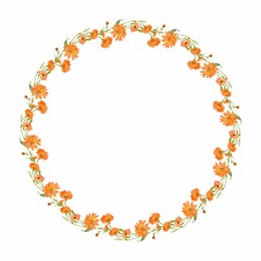 A beautiful wreath of calendula. Round flower arrangement on a white background. A wreath of medicinal flowers to decorate homeopathic tea, eco-products, natural cosmetics. Watercolor