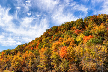 Obraz premium Cherokee National Forest along the Watauga River Valley in Tennessee, USA