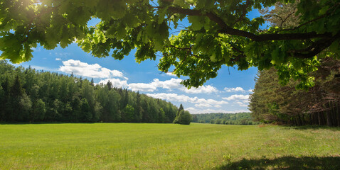 Fresh air and beautiful natural landscape of meadow with green tree  in the sunny day for summer background, Beauty landscape of grass field with forest trees and environment public park with sun rays