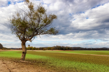 Fototapeta premium Rankin Bottoms Wildlife Refuge along the Nolichucky and French Broad Rivers in TN.