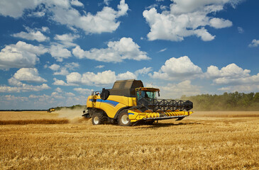 Combine harvester harvests ripe wheat.